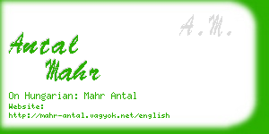 antal mahr business card
